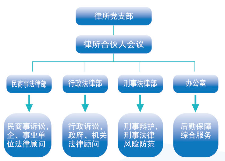 机构设置(图1)